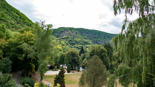 202508272dúren (16)_bewerkt-1