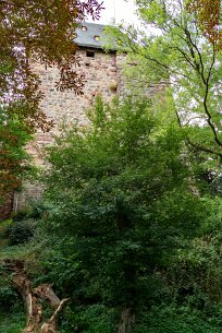 202508272dúren (29)_bewerkt-1