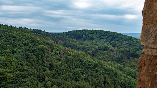 202508272dúren (38)_bewerkt-1