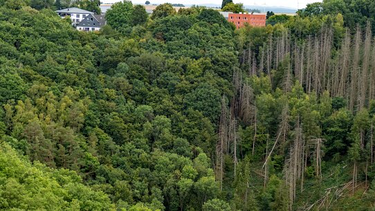 202508272dúren (39)_bewerkt-1