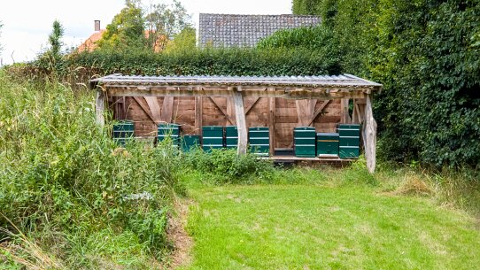 20250803_132236_bewerkt-1