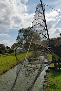 20170806_162545_bewerkt-1