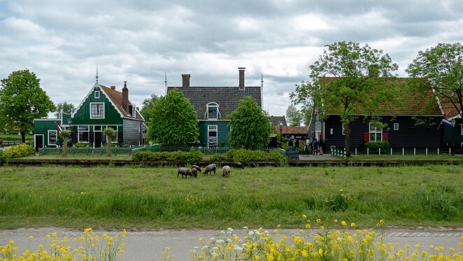 _1000618_bewerkt-1