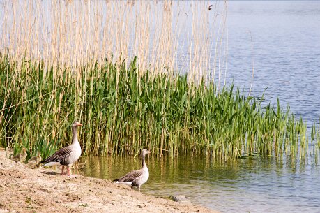 bewoners_grwiel1 068_bewerkt-1