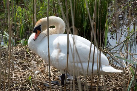 bewoners_grwiel1 103_bewerkt-2