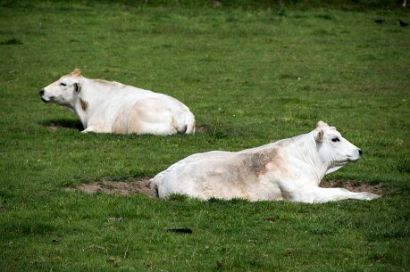 bewoners_grwiel1 128_bewerkt-1