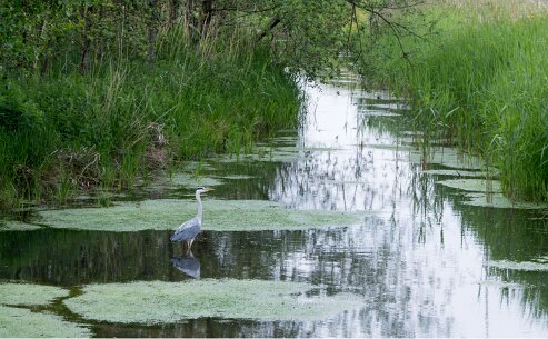 bewoners_grwiel1 143_bewerkt-1