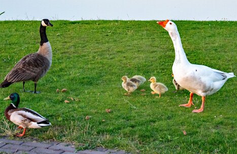 bewoners_grwiel2 020_bewerkt-1