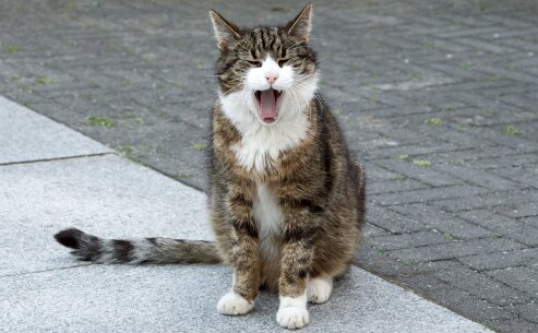 bewoners_grwiel2 027_bewerkt-1