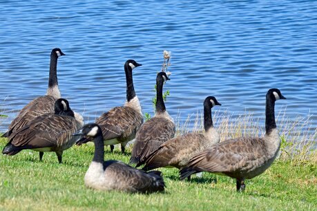 probeelselsthuis6b (15)_bewerkt-1