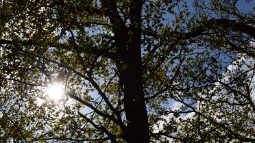 Vughtse Heide