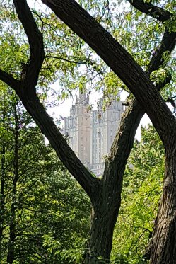 20170904_134317
