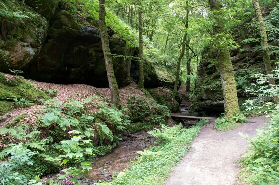 Trier_Berdorf_Luxemburg 143_bewerkt-1