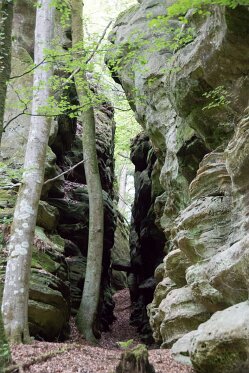 Trier_Berdorf_Luxemburg 144_bewerkt-1