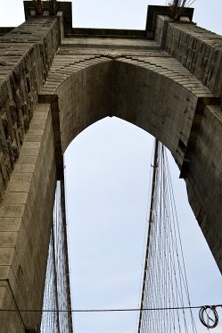 _DSC0295