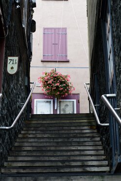 _DSC0594