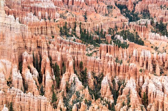 West_USA_sept_2014 463_bewerkt-1