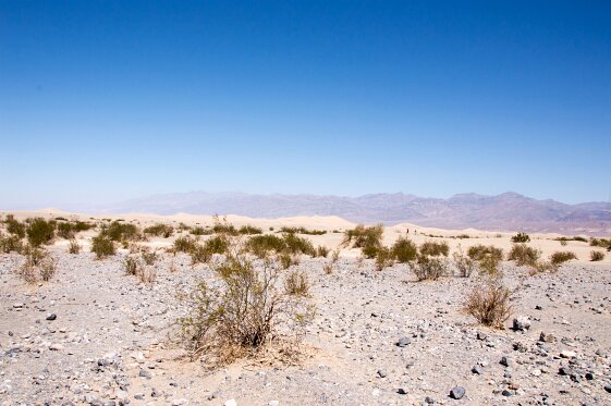 West_USA_sept_2014 273_bewerkt-1