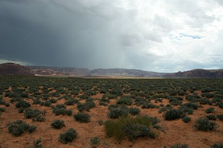 West_USA_sept_2014 577_bewerkt-1