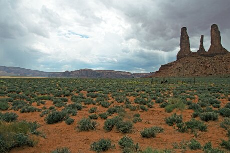 West_USA_sept_2014 578_bewerkt-1