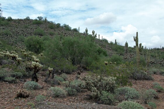 West_USA_sept_2014 813