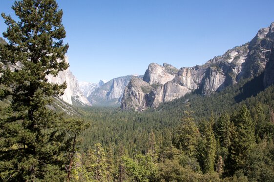 Yosemite NP