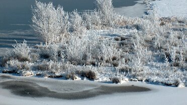 Winterlandschap
