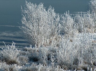 Winter febr 2012 005_bewerkt-1